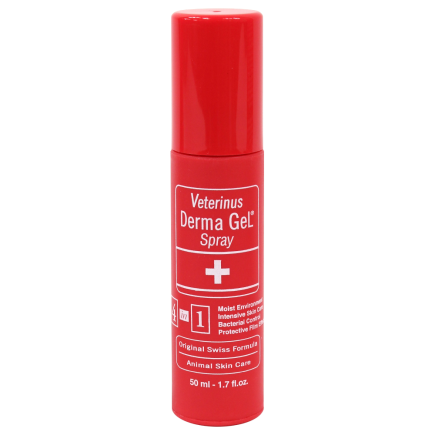 Derma Gel Spray